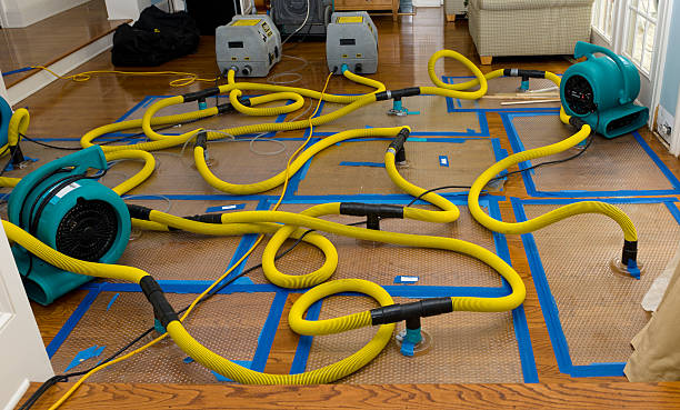 Professional Flood Damage Restoration technician working in Bound Brook, NJ